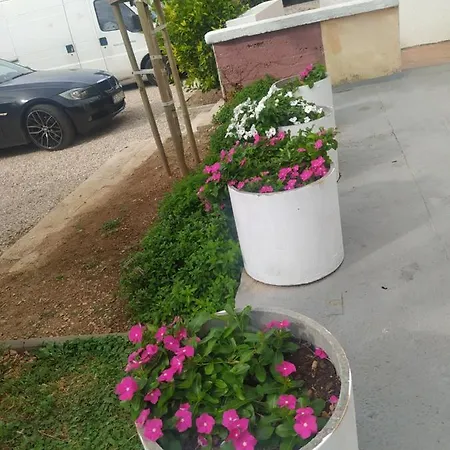 Trubi 3 * Водице