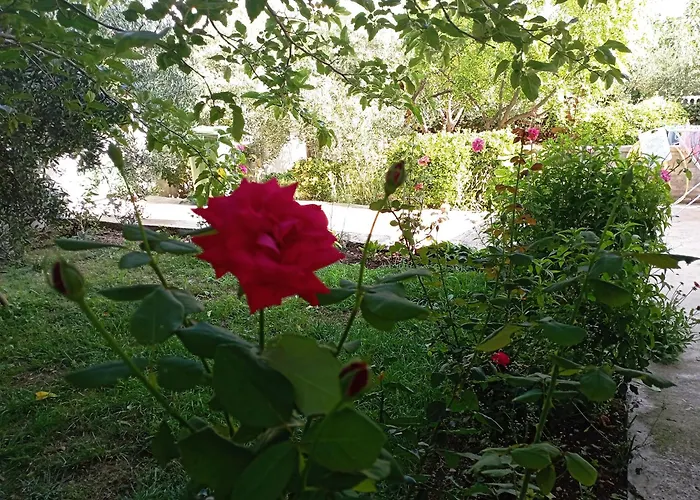 Trubi 3 ヴォディツェ