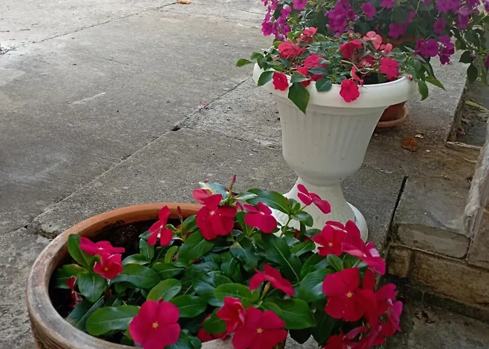 Trubi 3 * ヴォディツェ