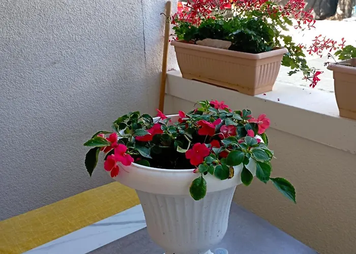 Trubi 3 アパート ヴォディツェ